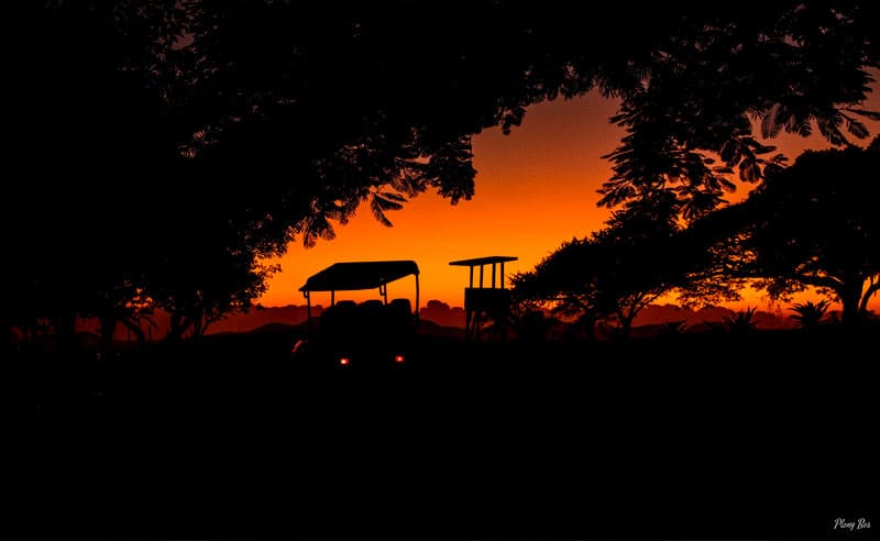 POTW Silhouette